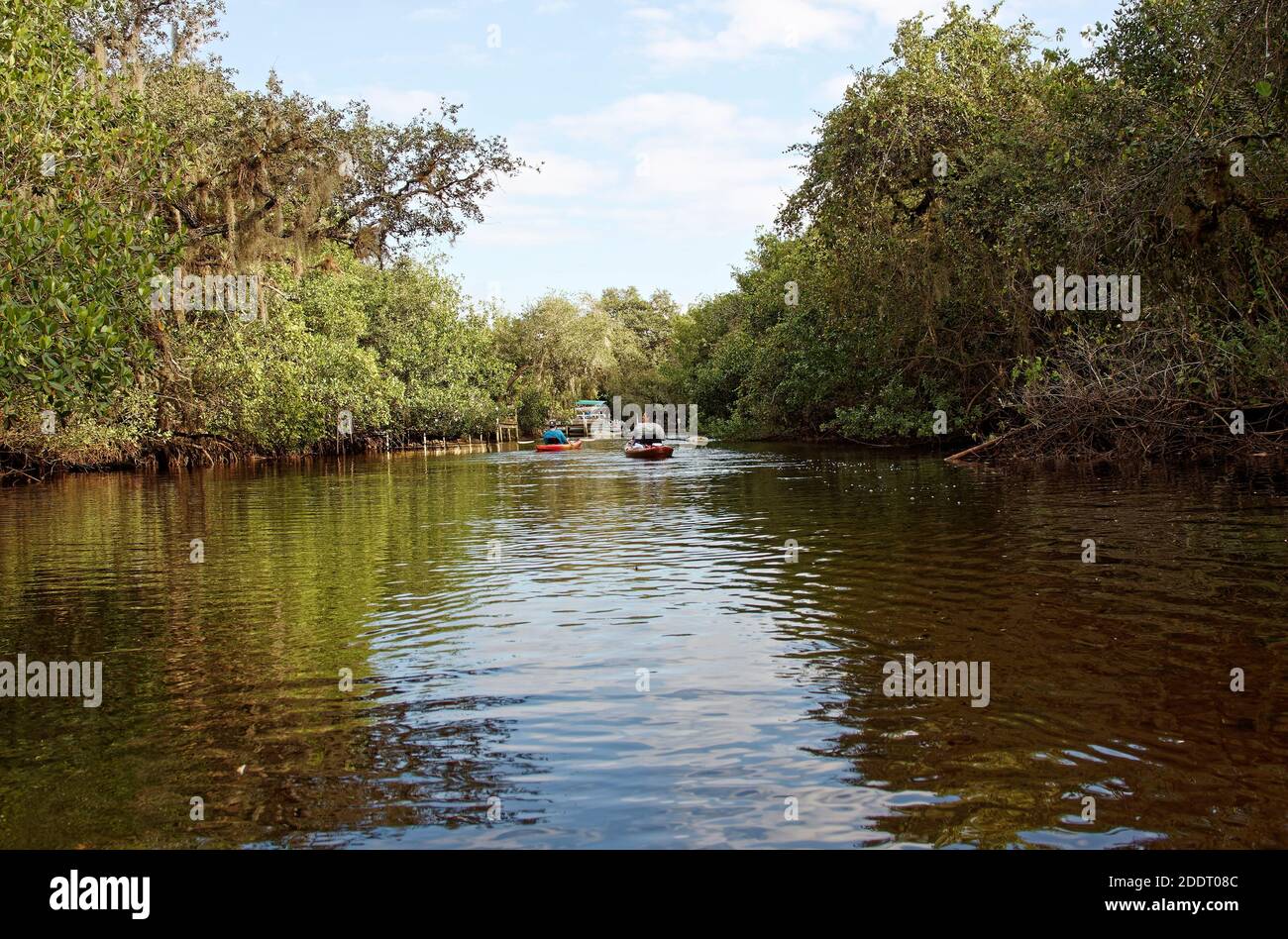 Scène de la rivière Estero, 2 kayakistes, quai, bateau, loisirs, eau, végétation verte, Floride, Estero, FL Banque D'Images