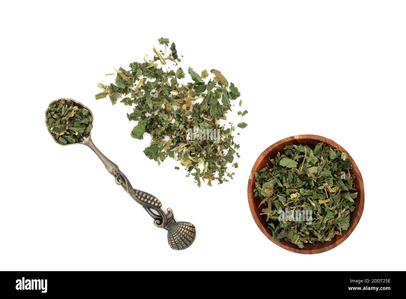 Granulation de l'herbe de mur utilisée en phytothérapie pour traiter la rétention de liquide, les troubles des voies urinaires, la constipation, la toux et également utilisé pour les brûlures. Banque D'Images