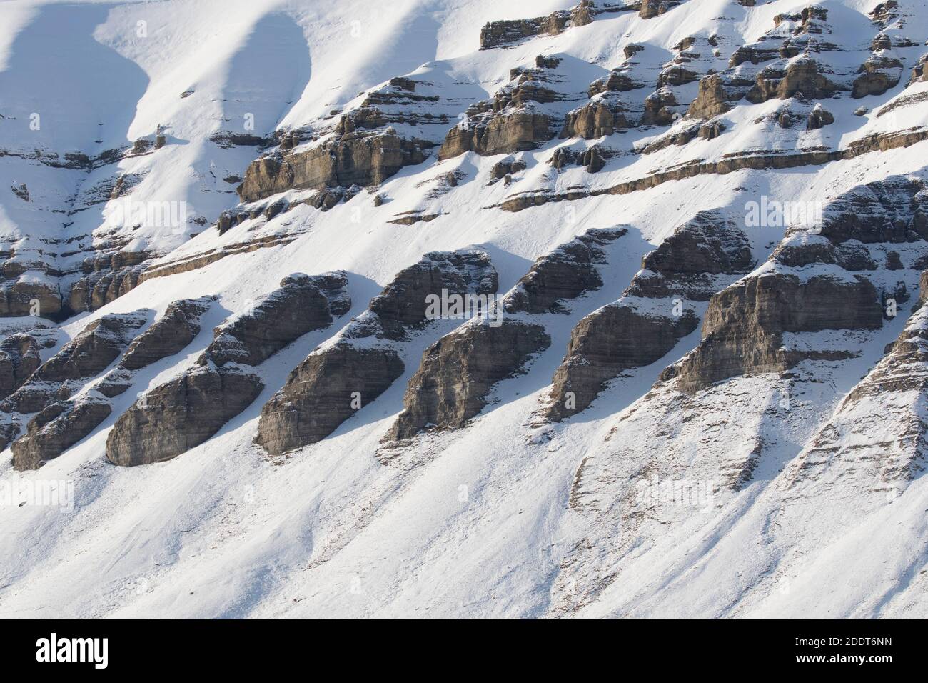 La neige couvrait la pente de montagne du Carbonifère en automne, Billefjord / Billefjorden, Svalbard / Spitsbergen, Norvège Banque D'Images