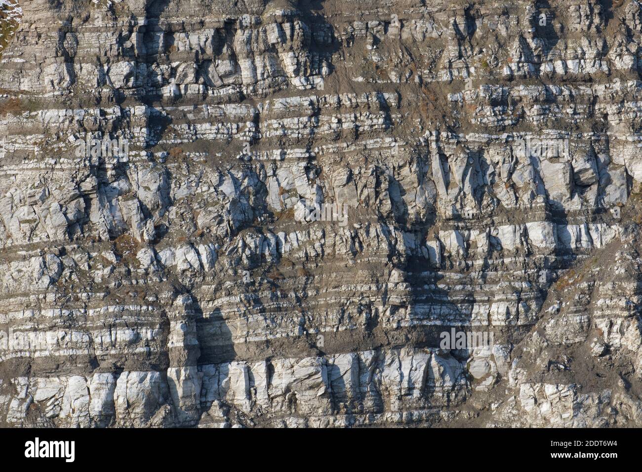 Pente de montagne carbonifère montrant des strates en automne, Billefjord / Billefjorden, Svalbard / Spitsbergen, Norvège Banque D'Images