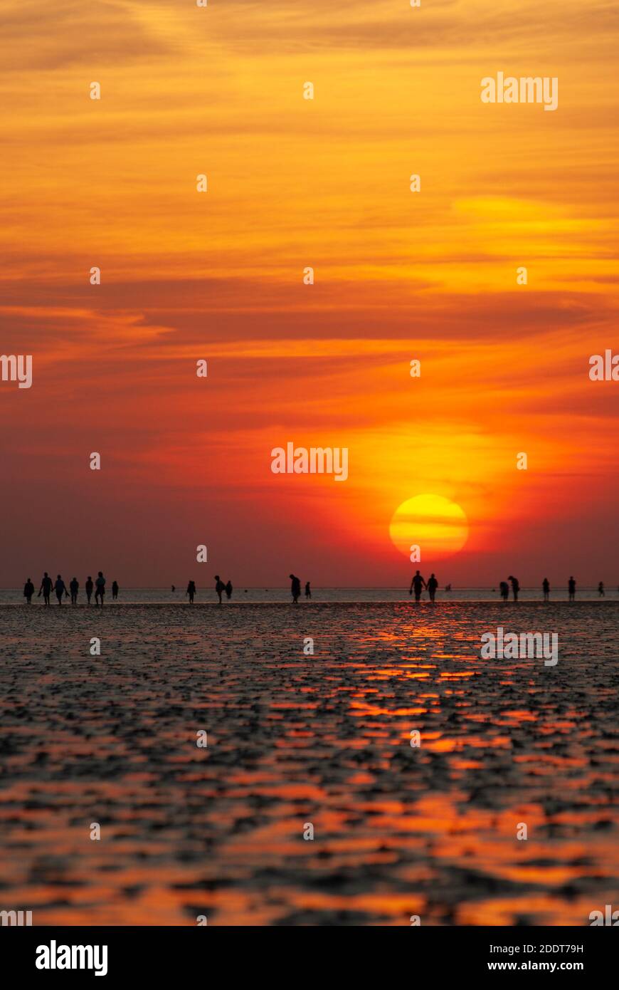 Image verticale avec silhouettes de personnes à la plage et watt devant le soleil couchant. Banque D'Images