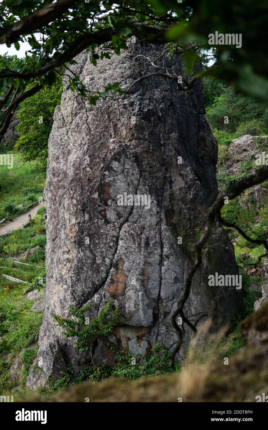 Pilier de roche derrière les branches devant la face de roche à Stenzelberg. Banque D'Images