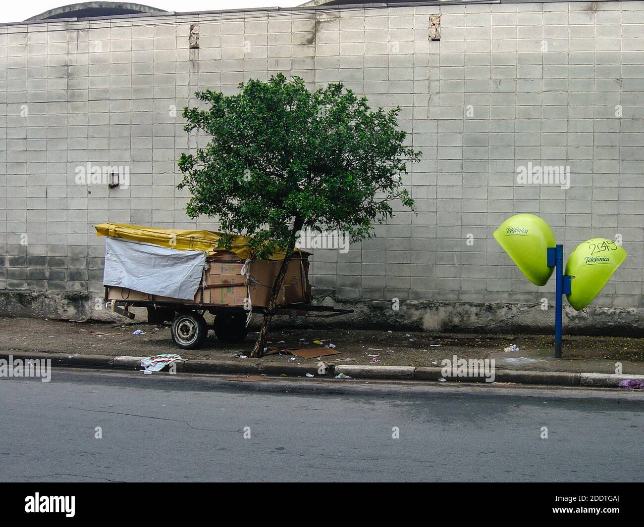 Sao Paulo, Brésil. 16 octobre 2010. Un abri roulant pour sans-abri fait de chariot à main est vu lié à l'arbre au début de la matinée, Caninde, Sao Paulo, Brésil. Banque D'Images