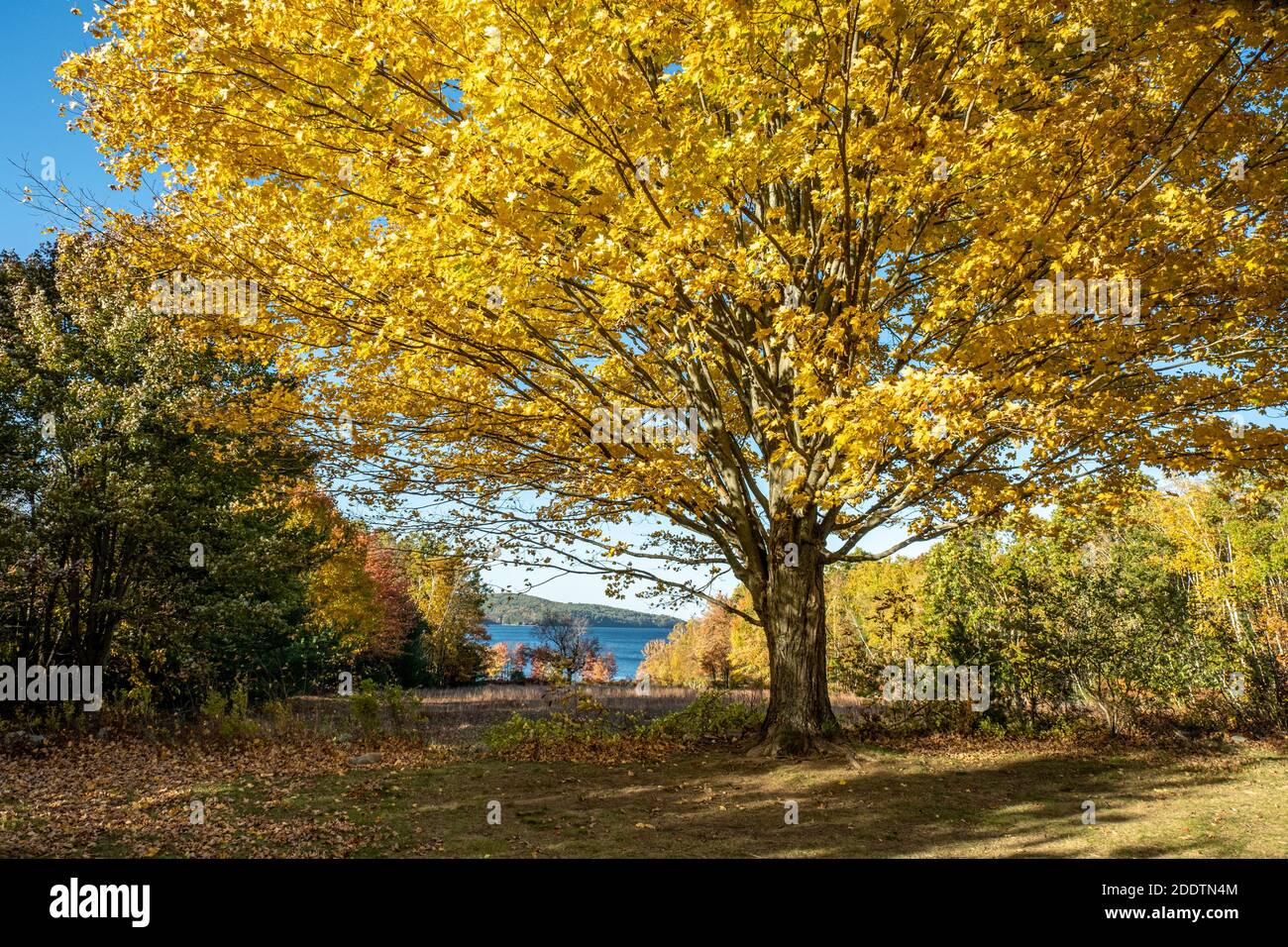 Le réservoir de Quabbin, anciennement quatre villes qui ont été prises par le Commonwealth du Massachusetts pour créer un approvisionnement en eau pour l'est du Massachusetts Banque D'Images