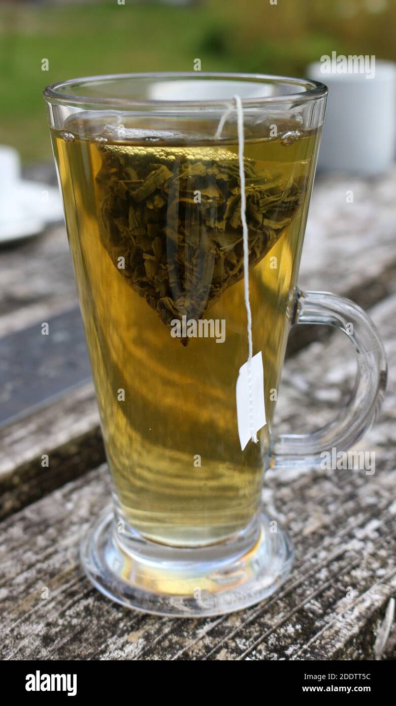 Un grand verre de thé vert avec un teabag dedans Banque D'Images