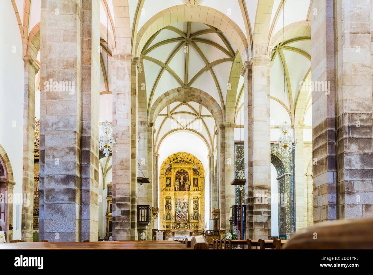 Nef de la Cathédrale de Miranda do Douro, Miranda do Douro, Terras de Trás-os-Montes, Portugal, Europe Banque D'Images