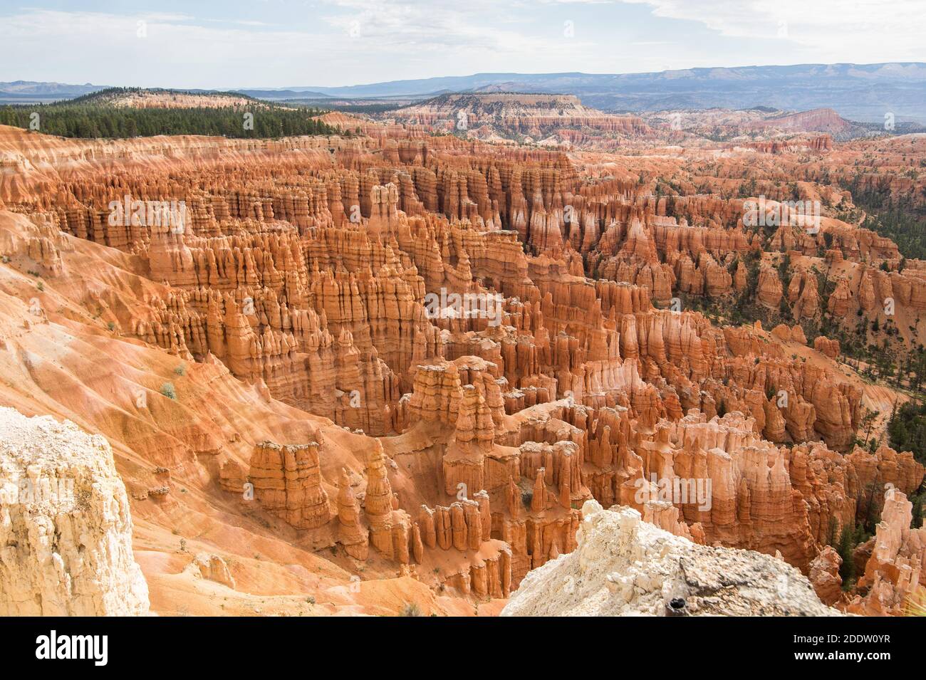 Point de vue suggestif de Bryce Canyon lors d'une belle journée ensoleillée, Utah, États-Unis Banque D'Images