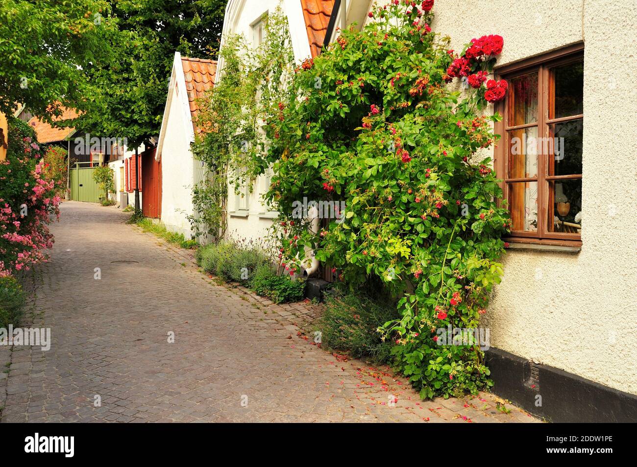 Ville médiévale de Hanse Visby en Suède Banque D'Images