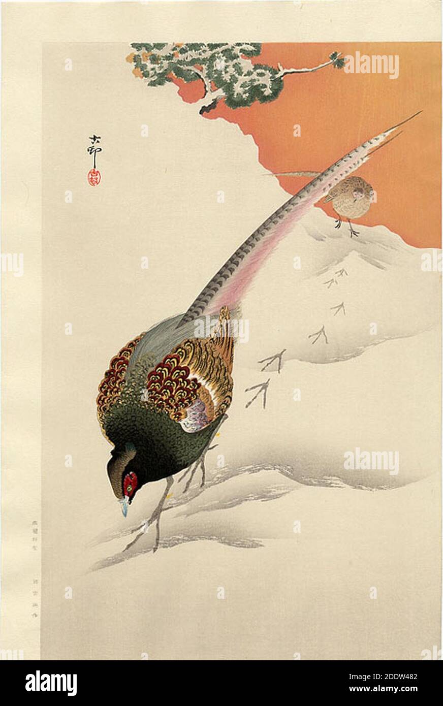 Koson - une paire de faisans-dans-la-neige. Banque D'Images