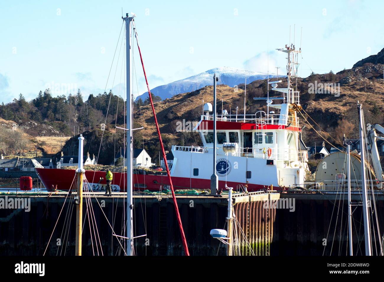Un chalutier français débarque dans le plus grand port de pêche blanche La côte ouest de l'Écosse Banque D'Images