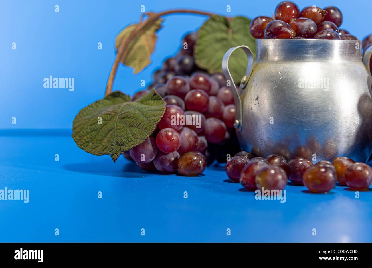 Fruits de raisin. Ingrédient pour les jus et le vin. Baies de raisin dans un récipient en aluminium. Arrière-plan bleu. Nourriture humaine Banque D'Images