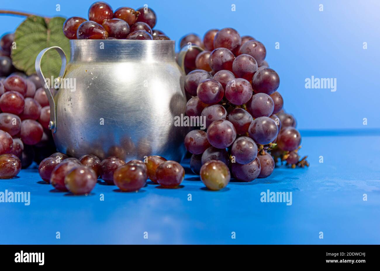 Fruits de raisin. Ingrédient pour les jus et le vin. Baies de raisin dans un récipient en aluminium. Arrière-plan bleu. Nourriture humaine Banque D'Images