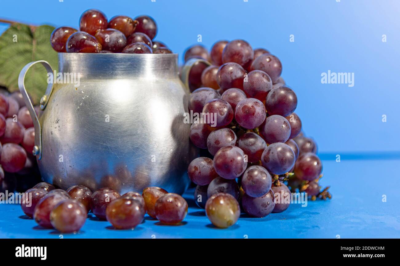 Fruits de raisin. Ingrédient pour les jus et le vin. Baies de raisin dans un récipient en aluminium. Arrière-plan bleu. Nourriture humaine Banque D'Images