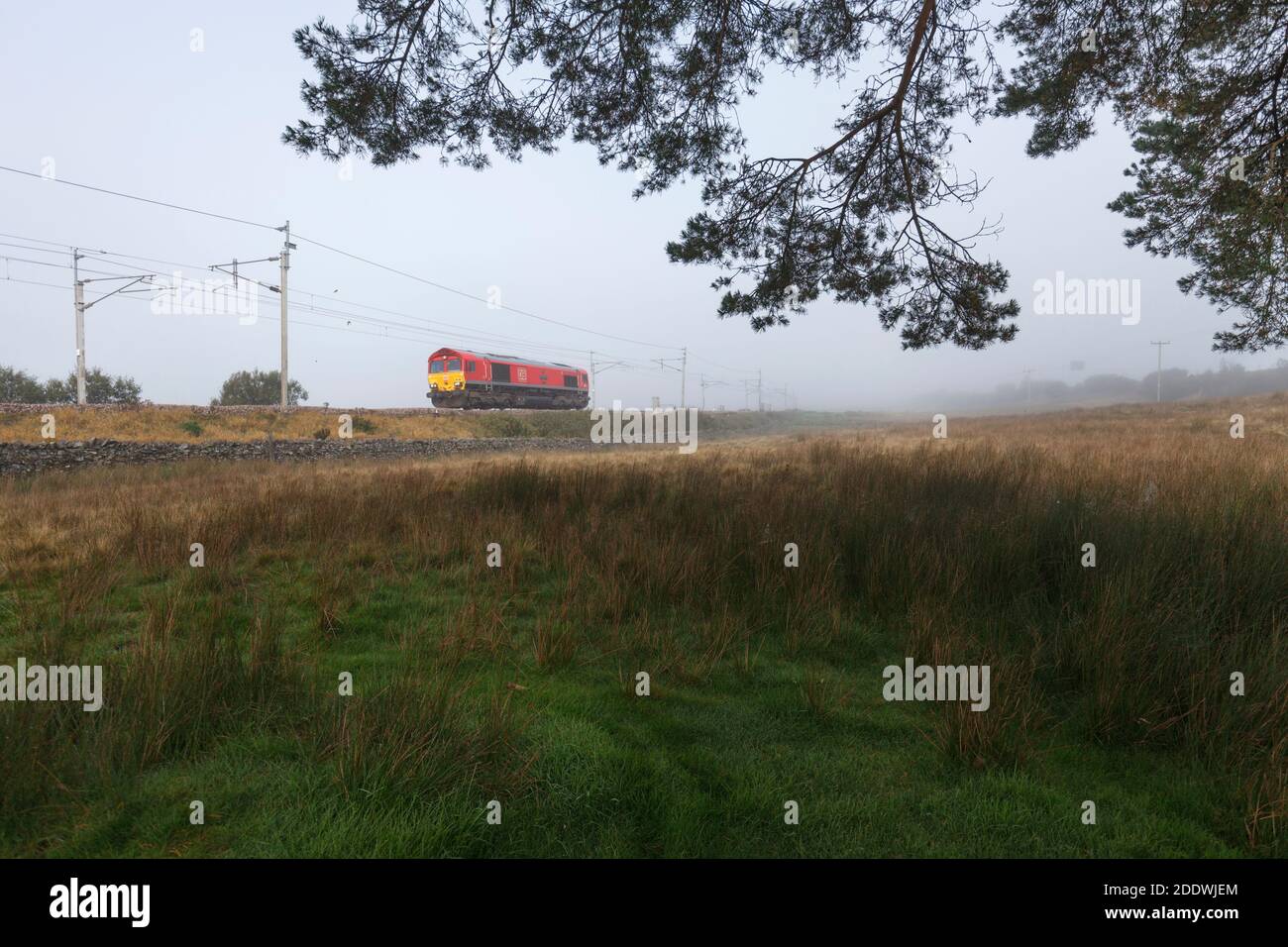 DB, classe de fret 66, locomotive 66100 sur la côte ouest Ligne principale dans la campagne en milieu rural Cumbria tournant le moteur léger Banque D'Images