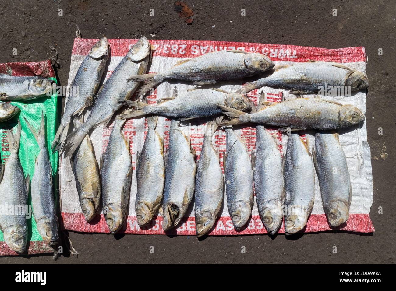 Poisson séché vendu au marché des fruits de mer de Kota Kinabalu, Sabah, Malaisie Banque D'Images