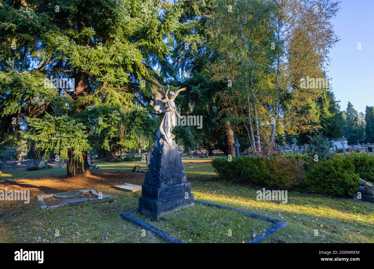 Tombe de Reginald Howell avec une statue d'un ange dans le cimetière du Sud, cimetière de Brookwood Glades of Remembrance, Woking, Surrey, sud-est de l'Angleterre Banque D'Images