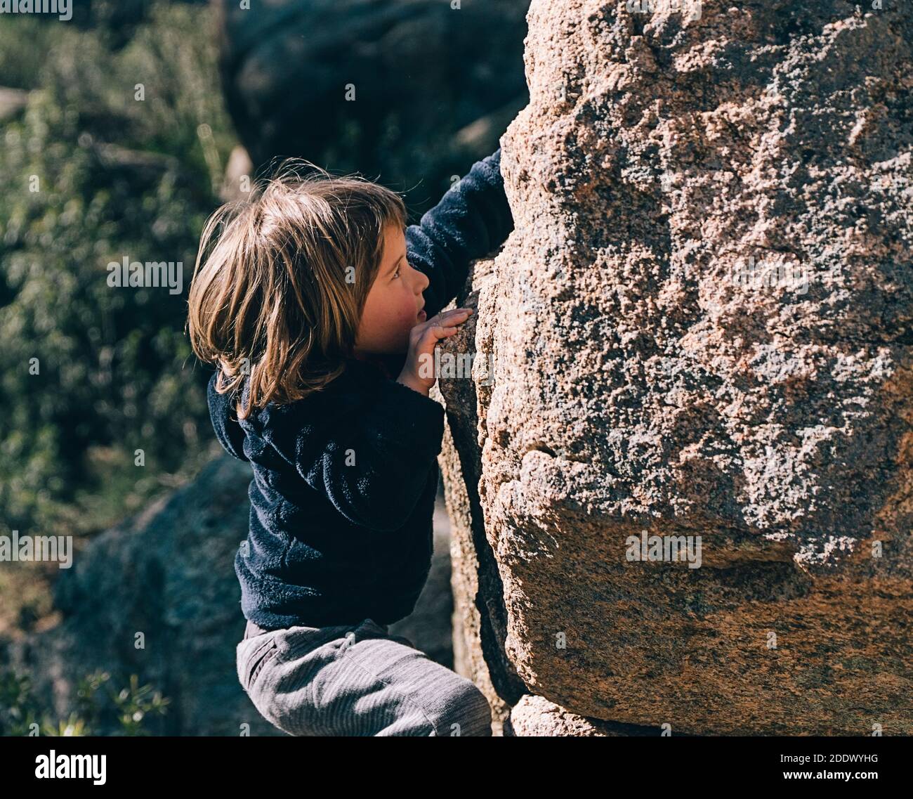 Jeune fille essayant de grimper un rocher dans la montagne. Elle regarde l'avant. Banque D'Images