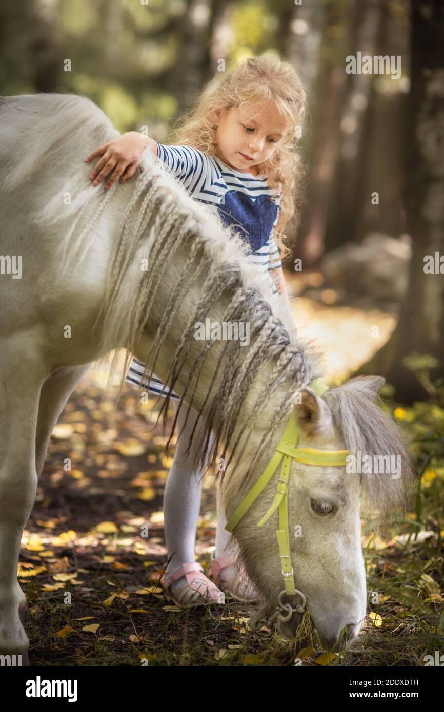 Petite fille blonde icahing le petit cheval poney et embrassant il en forêt d'été Banque D'Images