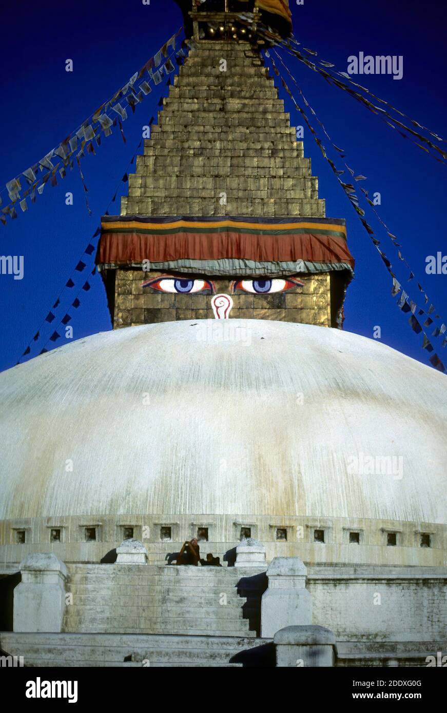 Yeux de Stupa à Bodnath, KathmanduNepal Banque D'Images