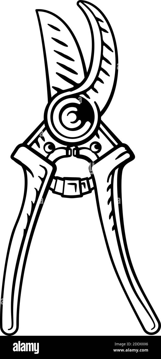 Coupe-herbes sécateur d'outils de jardin cisailles à affûter Illustration de Vecteur