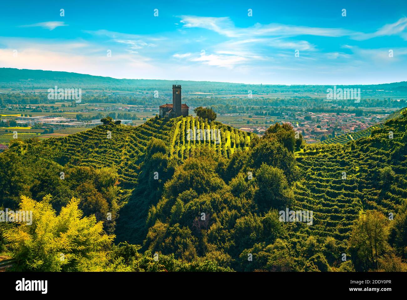 Collines Prosecco, vignobles et église San Lorenzo. Site de l'UNESCO. Farra di Soligo. Vénétie, Italie, Europe. Banque D'Images
