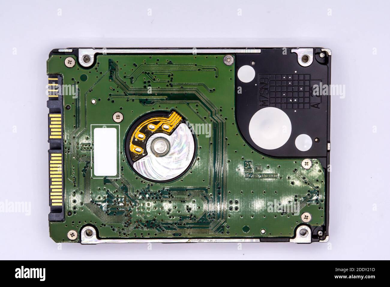 Gros plan du disque dur interne ou du disque dur de l'ordinateur portable isolé sur fond blanc. Banque D'Images