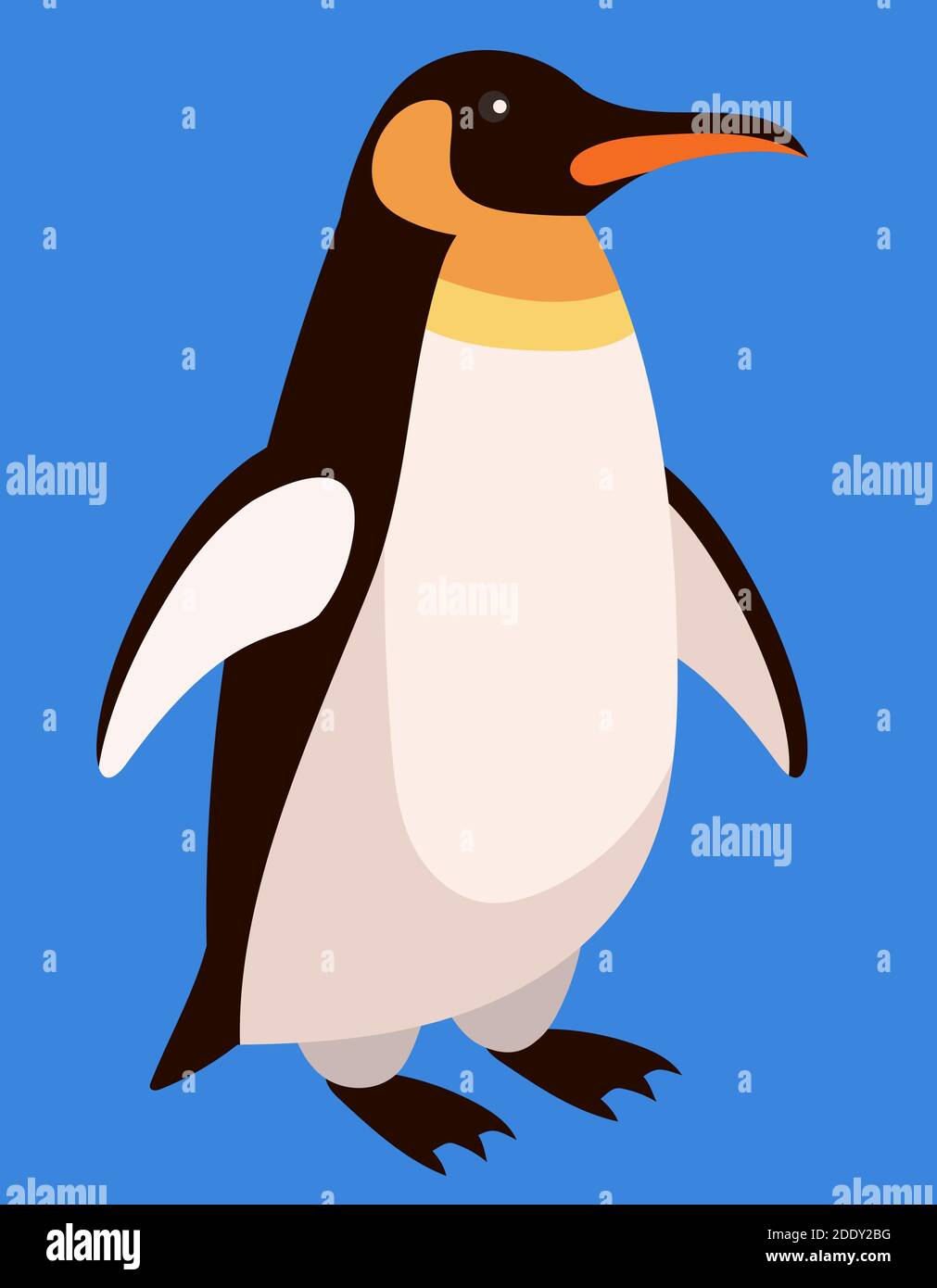 Vue de trois quarts sur les pingouins. Animal arctique de style dessin animé. Illustration de Vecteur