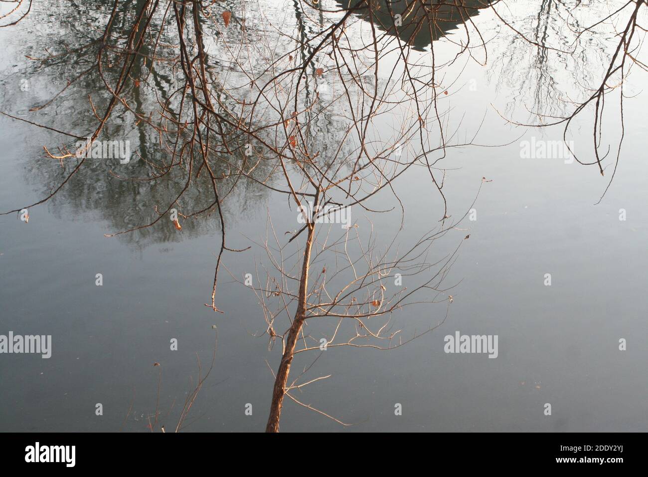 rivière Banque D'Images