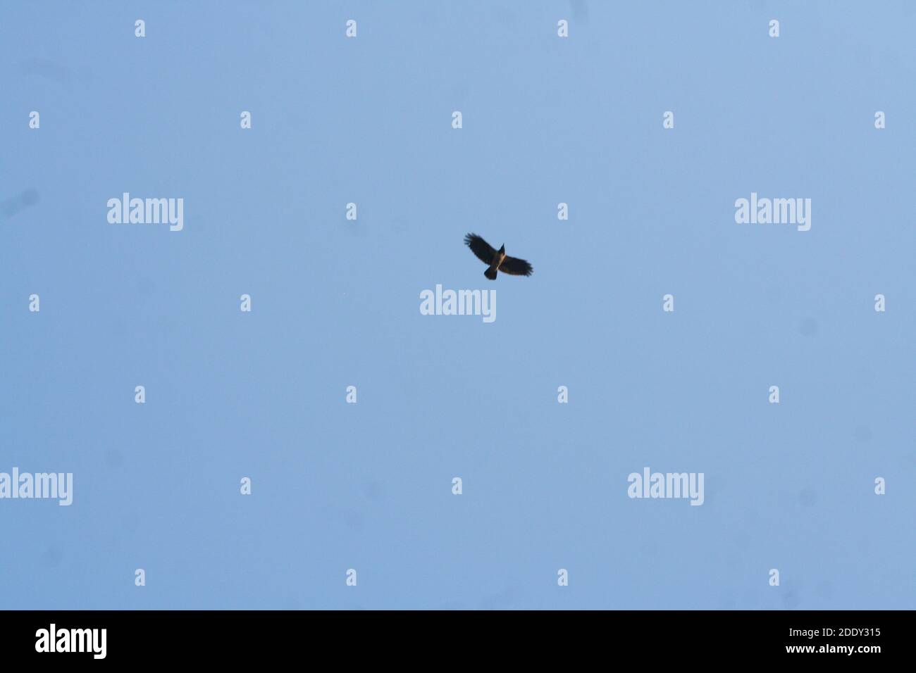 rivière Banque D'Images