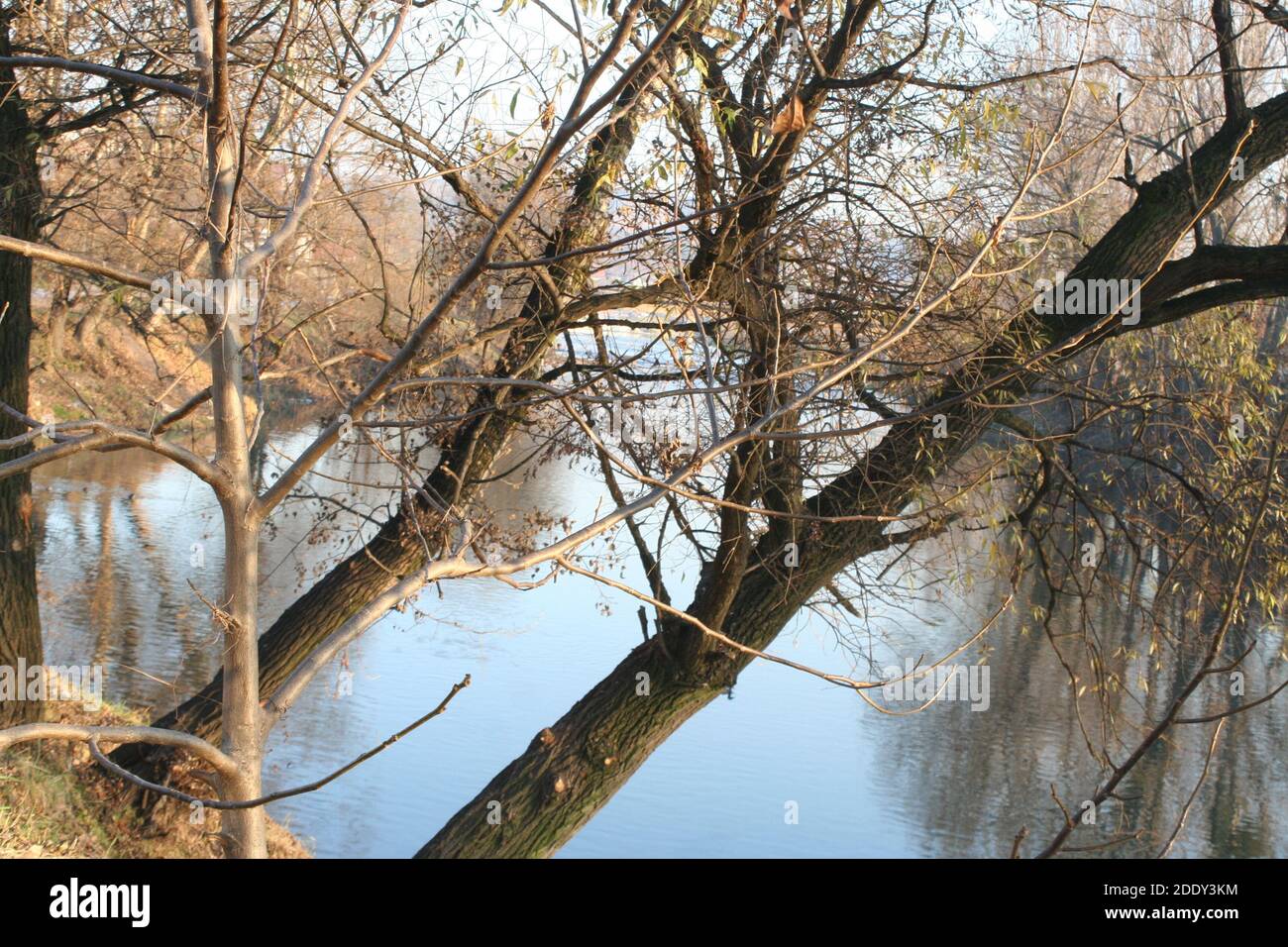 rivière Banque D'Images