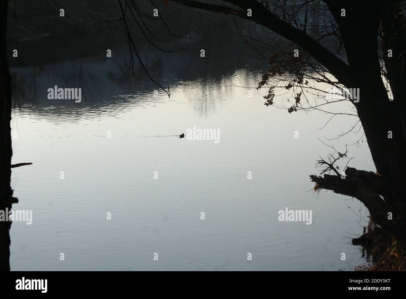 rivière Banque D'Images