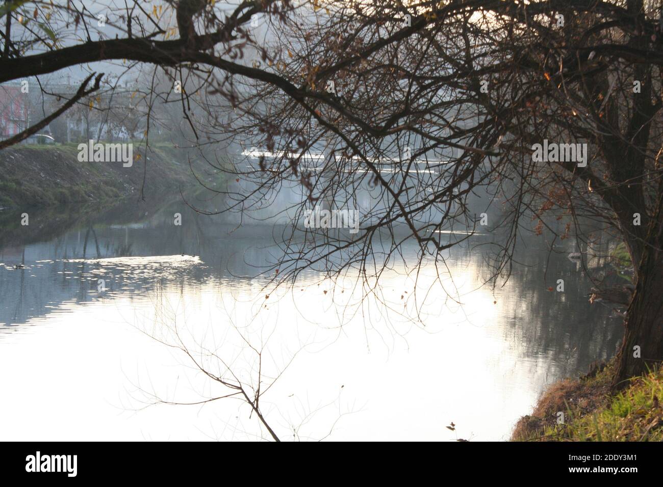 rivière Banque D'Images