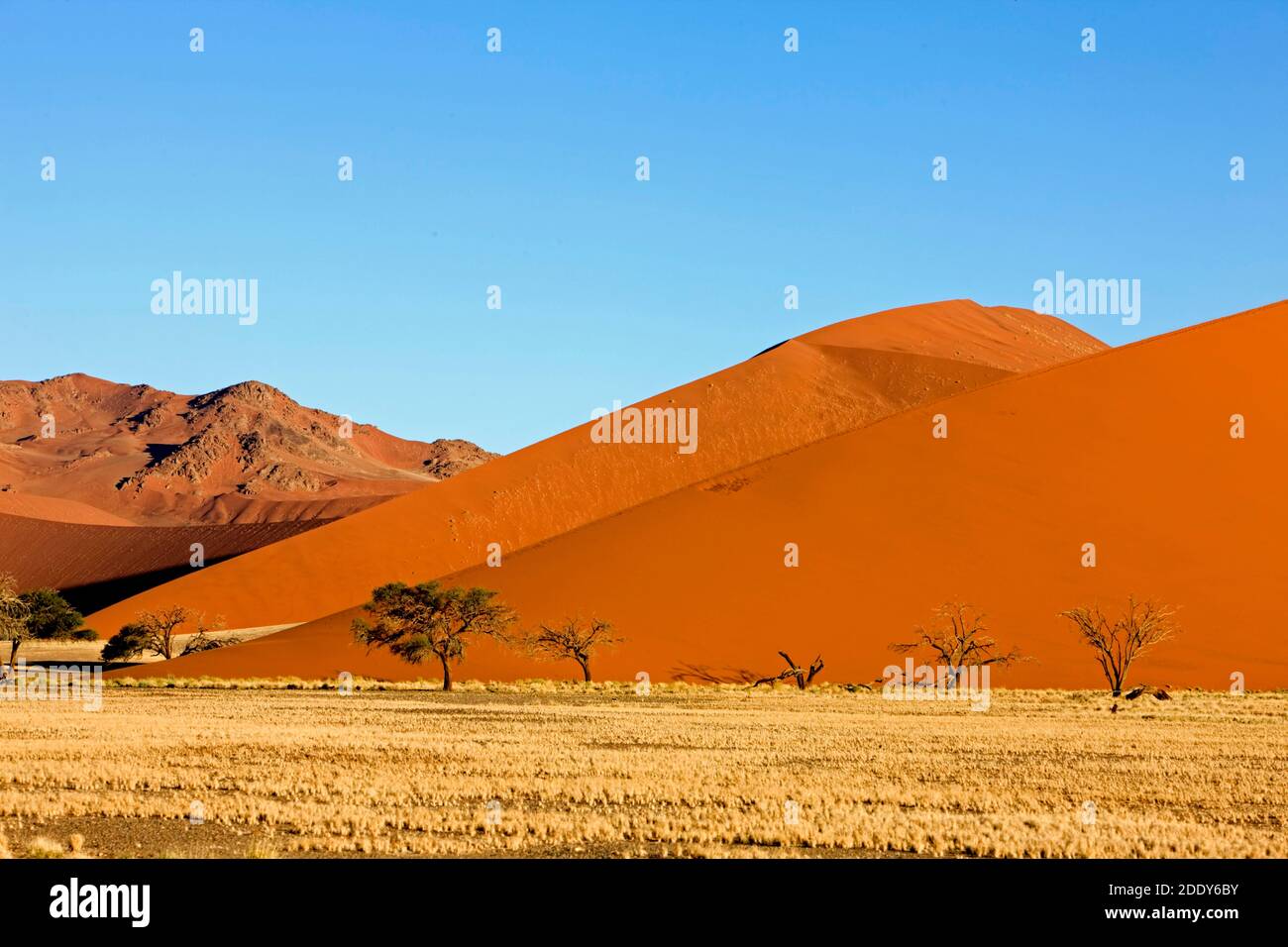 Sossulsvlei dans les dunes du désert du Namib, le Namib Naukluft Park en Namibie Banque D'Images