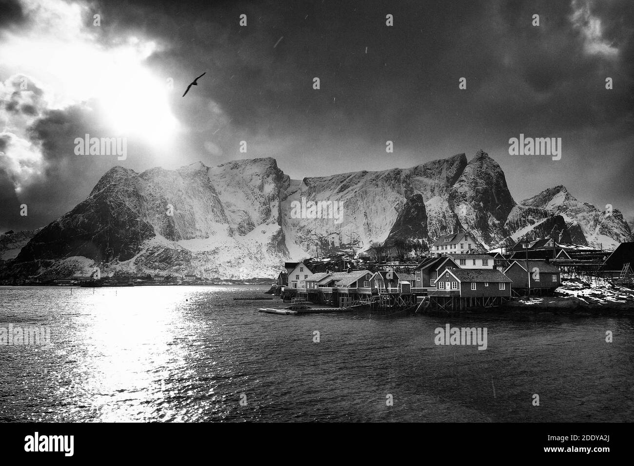 Paysage norvégien près de Reine Resort dans l'archipel de Lofoten, Norvège, Europe Banque D'Images