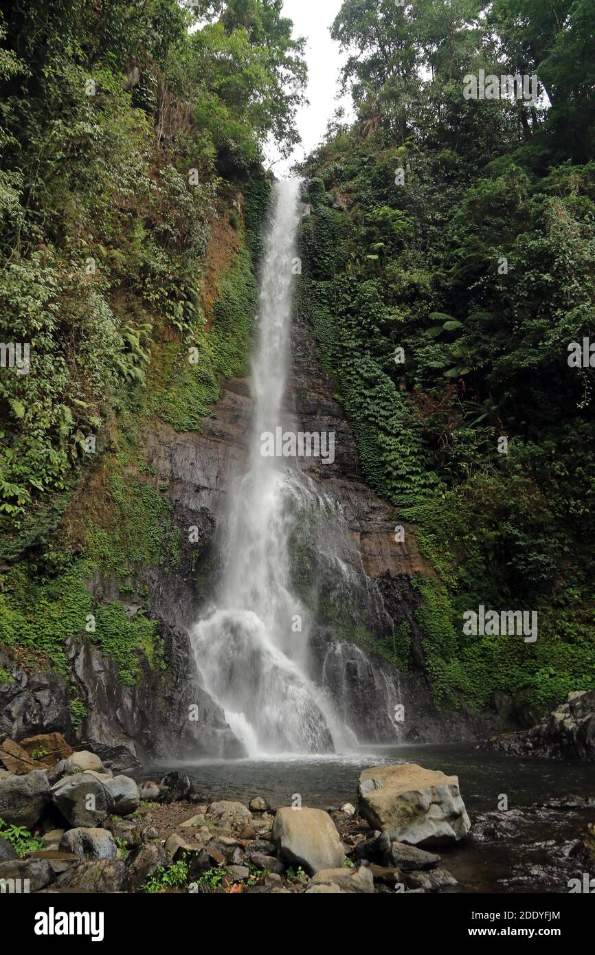 Gitgit Waterfall, village Gitgit, Bali, Indonésie Banque D'Images
