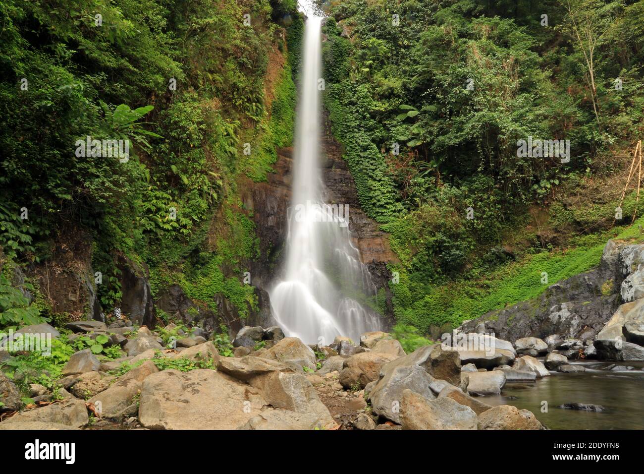 Gitgit Waterfall, village Gitgit, Bali, Indonésie Banque D'Images
