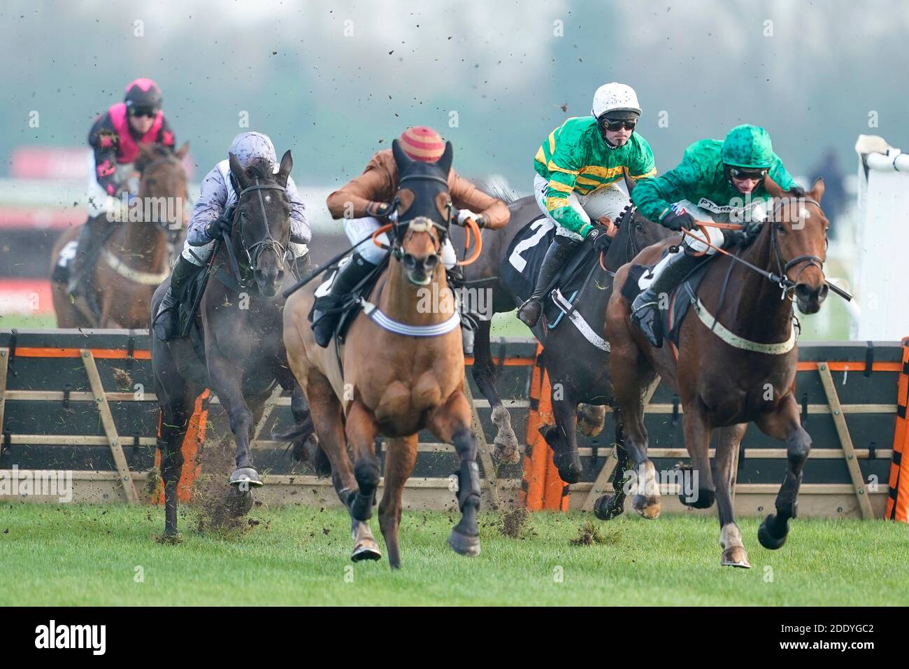 My Drogo criblé par Harry Skelton (deuxième à gauche, gris silks) sort le dernier à gagner le Watch Racing Free Online à Ladbrokes 'National Hunt' Maiden haie à Newbury Racecourse. Banque D'Images