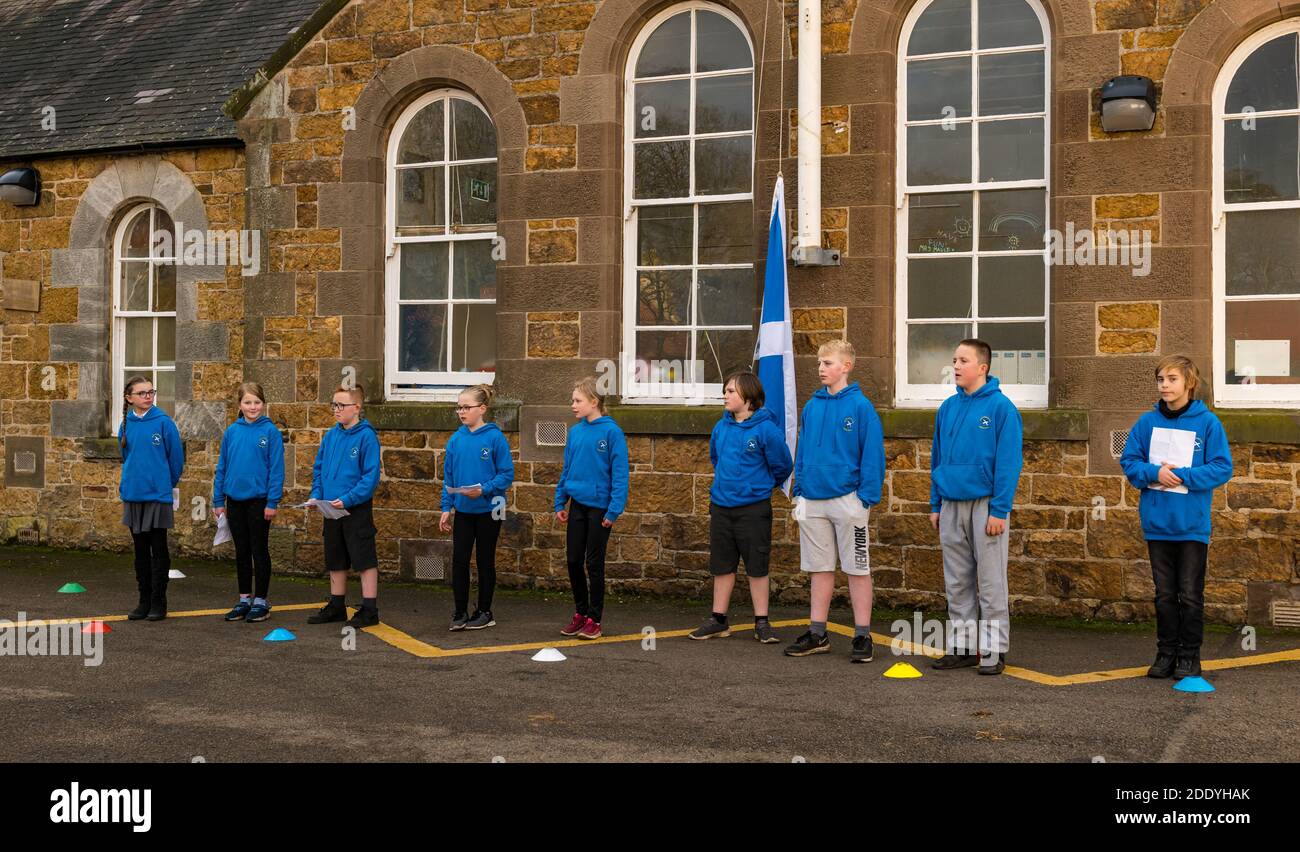 Athelstaneford, East Lothian, Écosse, Royaume-Uni, 27 novembre 2020. Festival de la Saltire : lieu de naissance du drapeau national écossais pour marquer le Saltire Festival qui a précédé la St Andrew’s Day. Les enfants de l'école primaire d'Athelstaneford célèbrent leur lien avec le Centre national du patrimoine du drapeau avec des lectures dirigées par des enfants P7 Banque D'Images