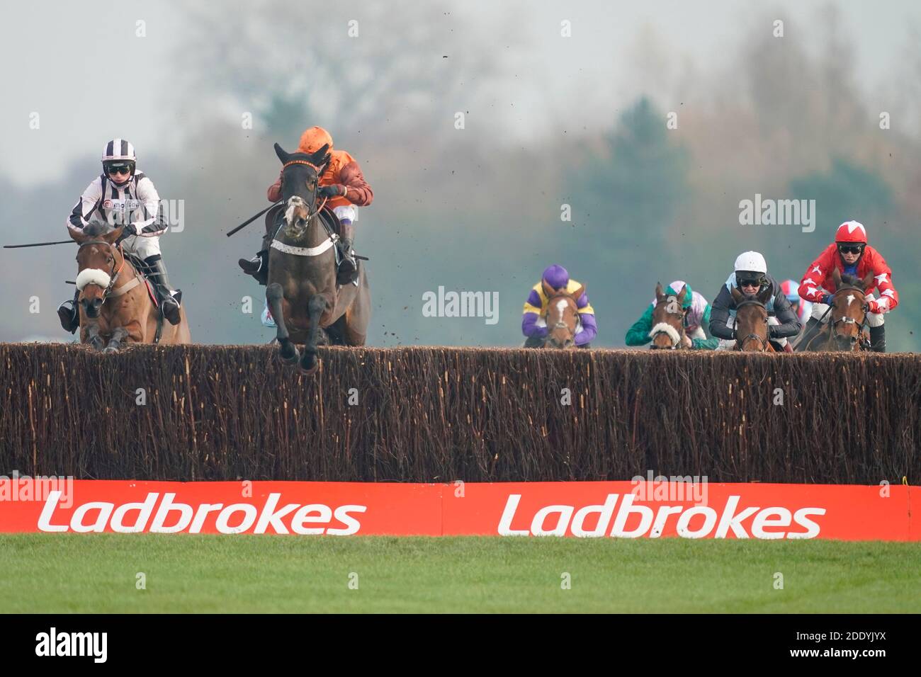 Einsaisissable Belle criblée par Sam Waley-Cohen (deuxième à gauche) efface le dernier avant de continuer à gagner le Ladbrokes Daily Odds boosts Chase à Newbury Racecourse. Banque D'Images