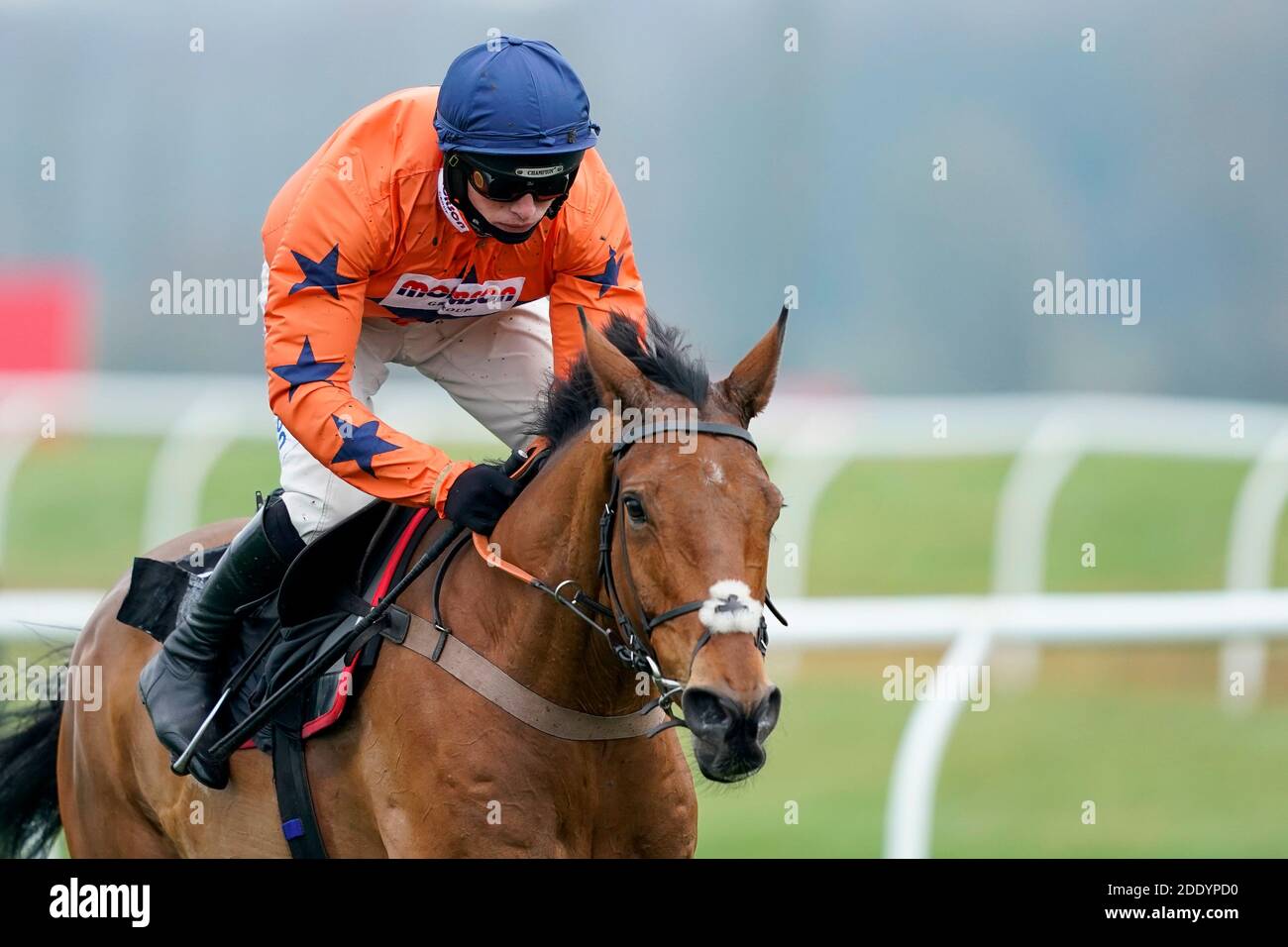 Bravemansgame, monté par Harry Cobden, remporte le Play Ladbrokes 5-A-Side sur l'obstacle des novices de football à l'hippodrome de Newbury. Banque D'Images