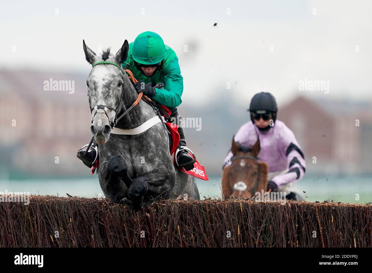 Caribean Boy, criblé par Daryl Jacob, sur le chemin de gagner les Ladbrokes engagés à plus sûr Gambling novices Chase à Newbury Racecourse. Banque D'Images