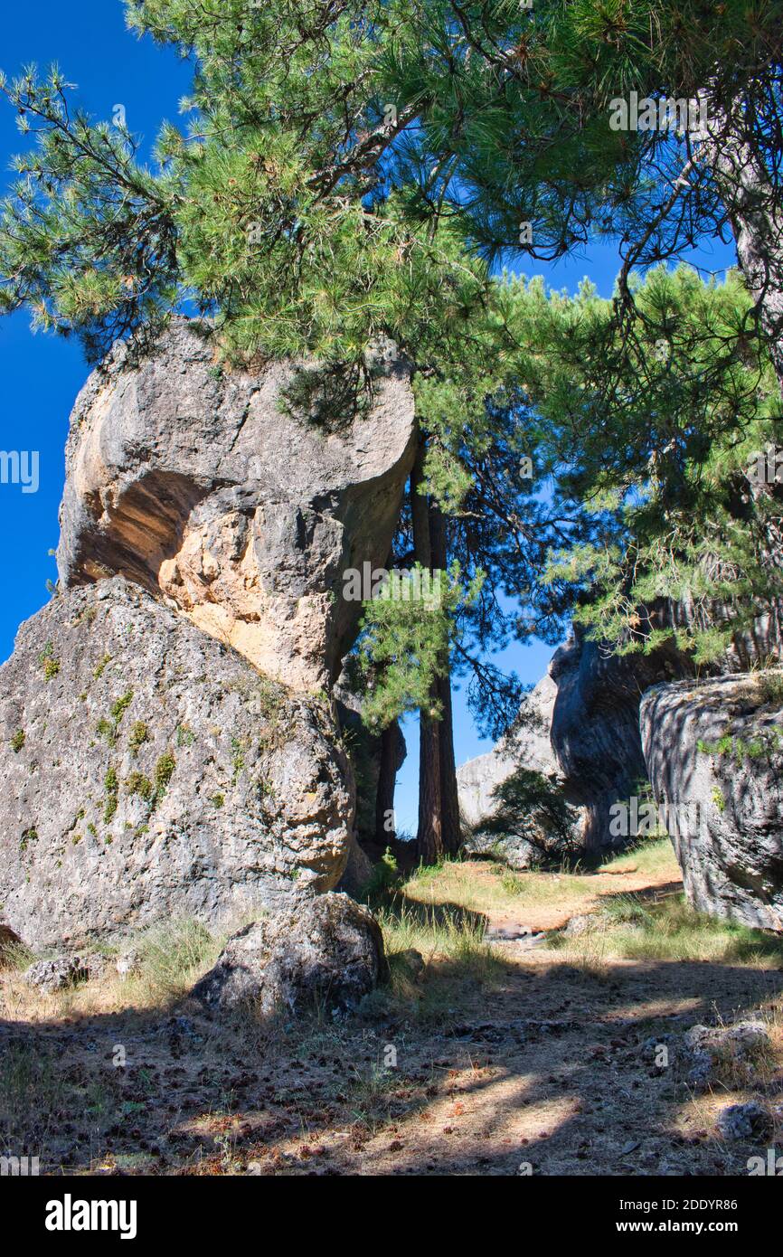 Chemin entre rochers et pins dans le cadre naturel de la ville enchantée de Cuenca, Espagne Banque D'Images