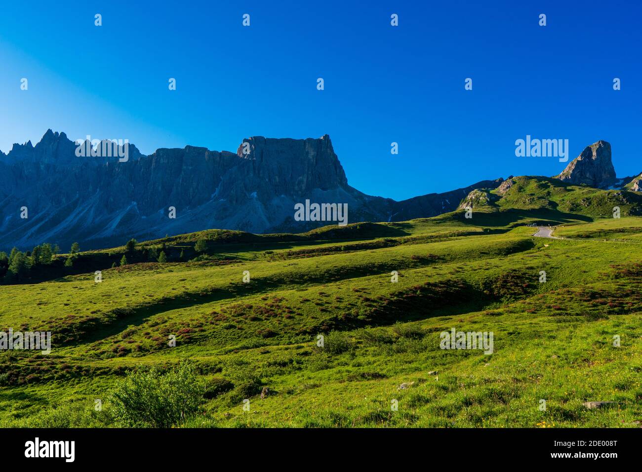 Lastoni de Formin, alias Ponta Lastoi de Formin. Bloc de montagne géant avec prairie verte, arbres et ciel d'été, Dolomites, Italie. Banque D'Images