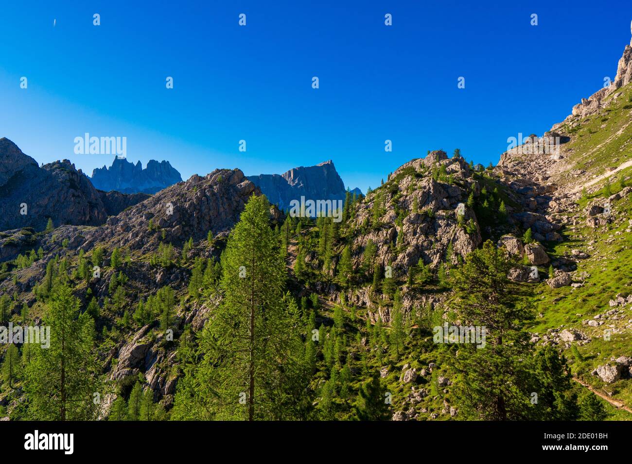 Lastoni de Formin, alias Ponta Lastoi de Formin. Bloc de montagne géant avec prairie verte, arbres et ciel d'été, Dolomites, Italie. Banque D'Images