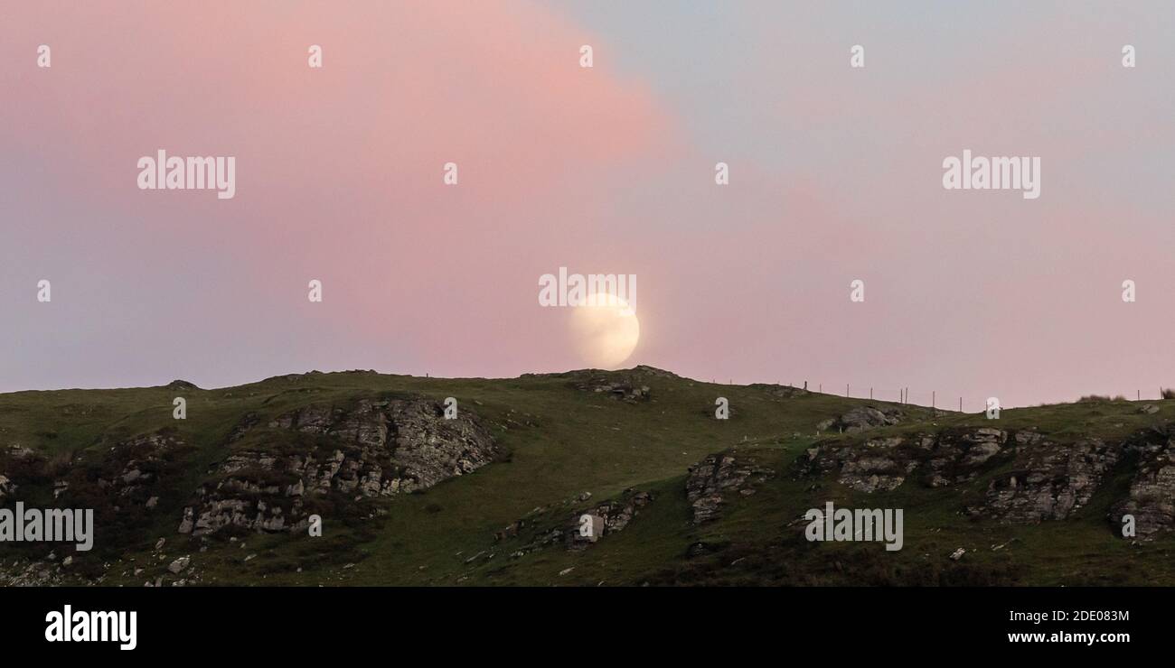 Près de Ystrad Meurig, Ceredigion, pays de Galles, Royaume-Uni. 27 novembre 2020 Royaume-Uni Météo : soirée froide alors que la lune de gibbous cirant s'élève au-dessus de la colline à Ceredigion, au milieu du pays de Galles. © Ian Jones/Alamy Live News Banque D'Images