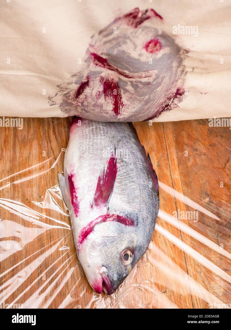 Master class for Fish Drawing in technique Monotype - ouverture calico Tissu avec imprimé de poissons Orata rouges et argentés (concentrez-vous sur les poissons crus sur le bois de crue Banque D'Images