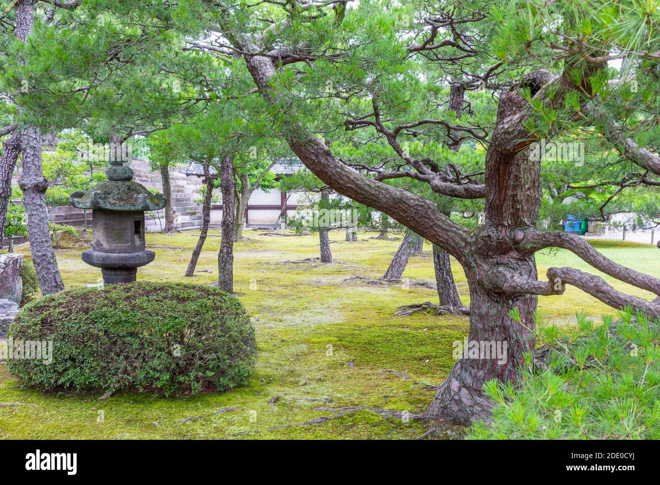 Arbres au jardin du Palais impérial de Kyoto à Kyoto, Japon Banque D'Images