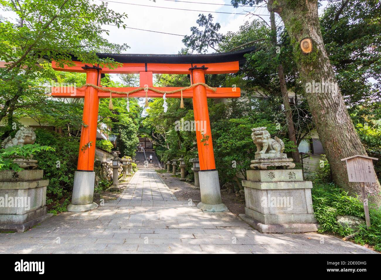 Portes Vermilion torii au sanctuaire Fushimi inari taisha à Kyoto, Japon Banque D'Images
