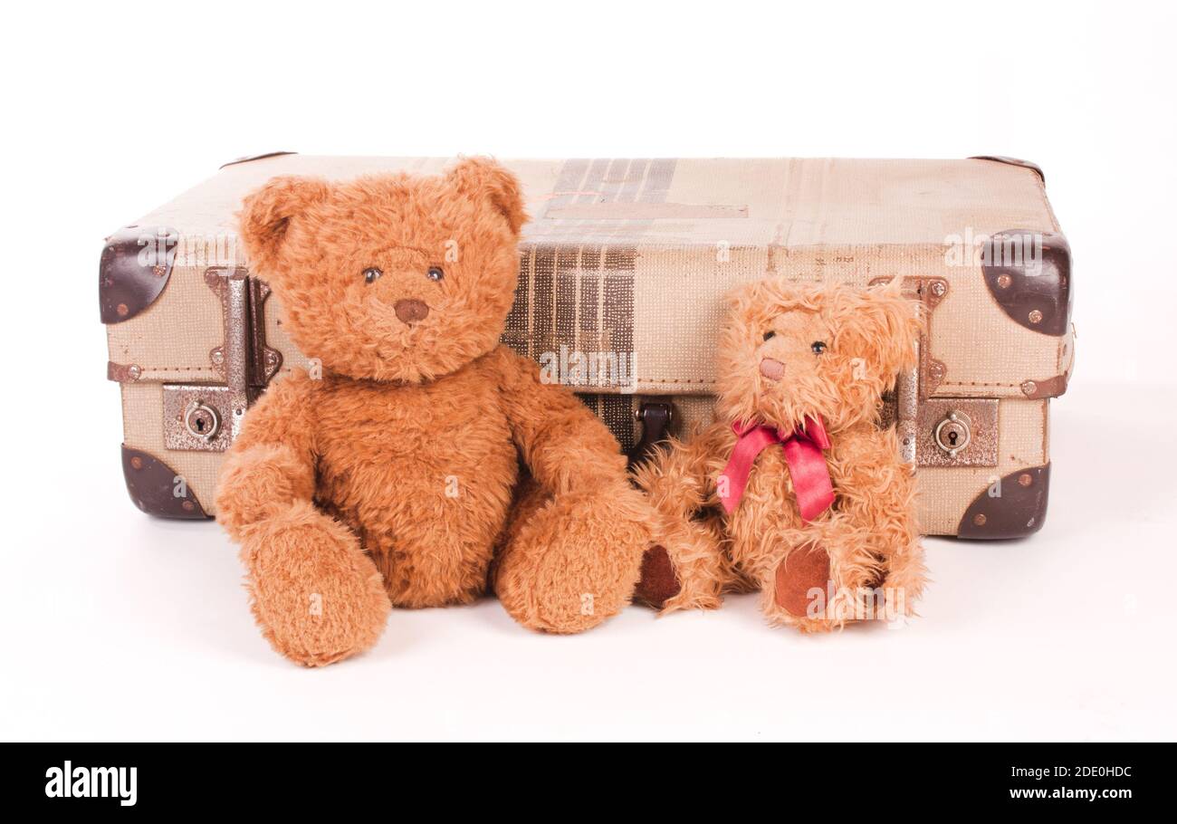 Ours en peluche avec valise isolée sur blanc Banque D'Images
