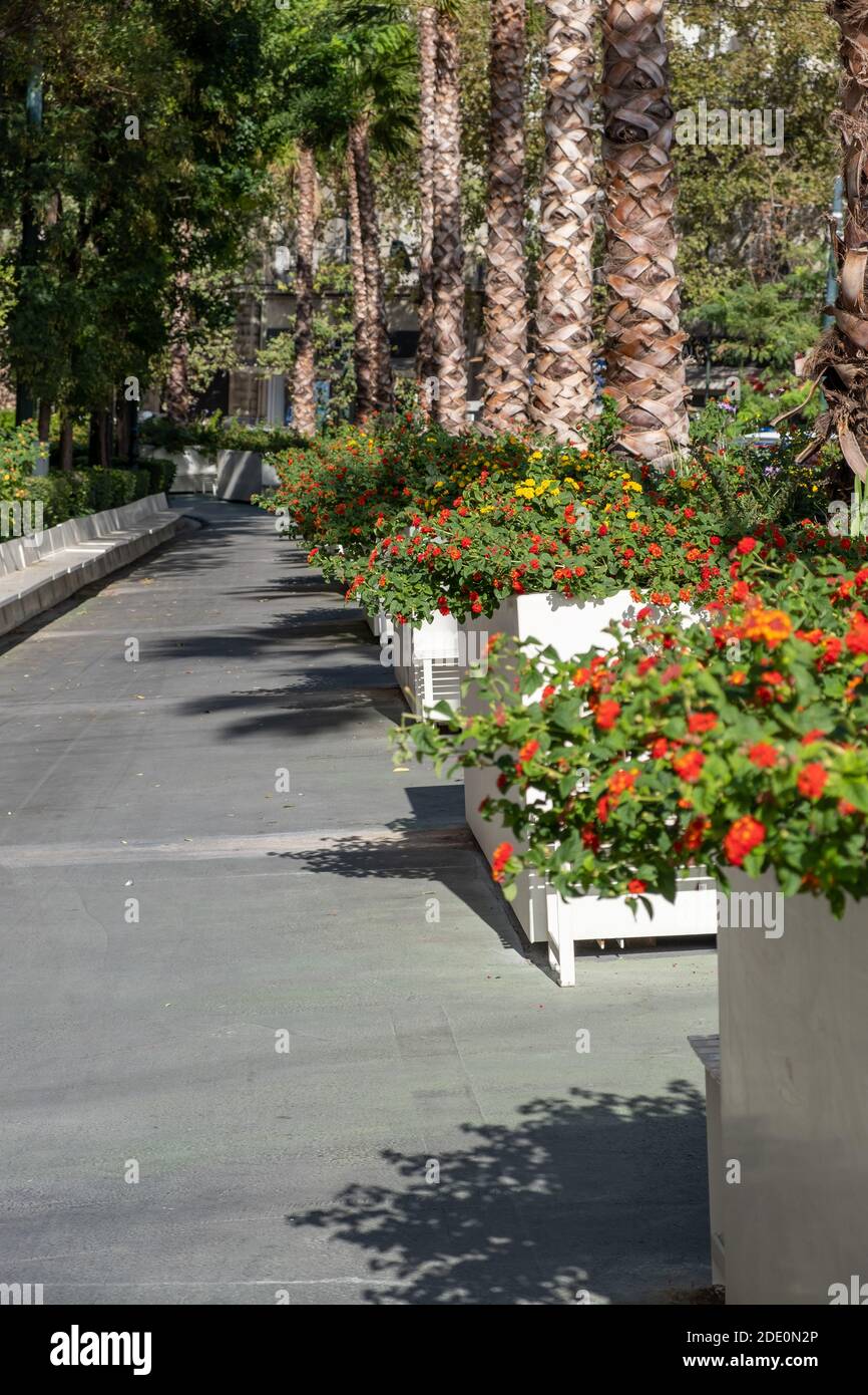 Athènes Grèce. Super promenade. Rue Panepistimiou, près de la place Syntagma. Sentier pour les sports, le vélo et les promenades Banque D'Images